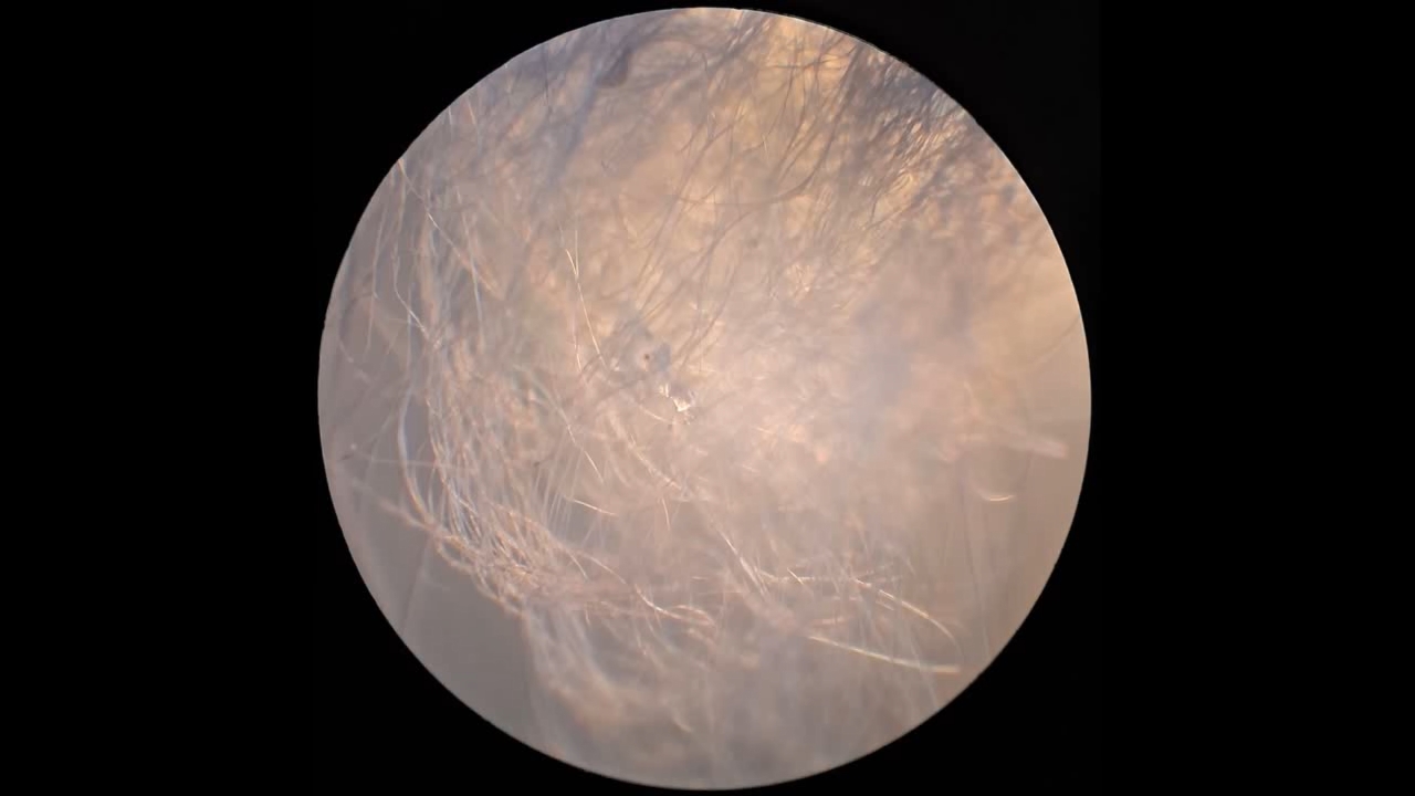 Electrospinning: Solution of Polystyrene in Methylene Chloride